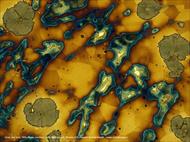 پاورپوینت تصاویر میکروسکوپی از ریزساختار فلزات