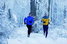 پاورپوینت تأثیر محیط سرد بر فعالیت های ورزشی